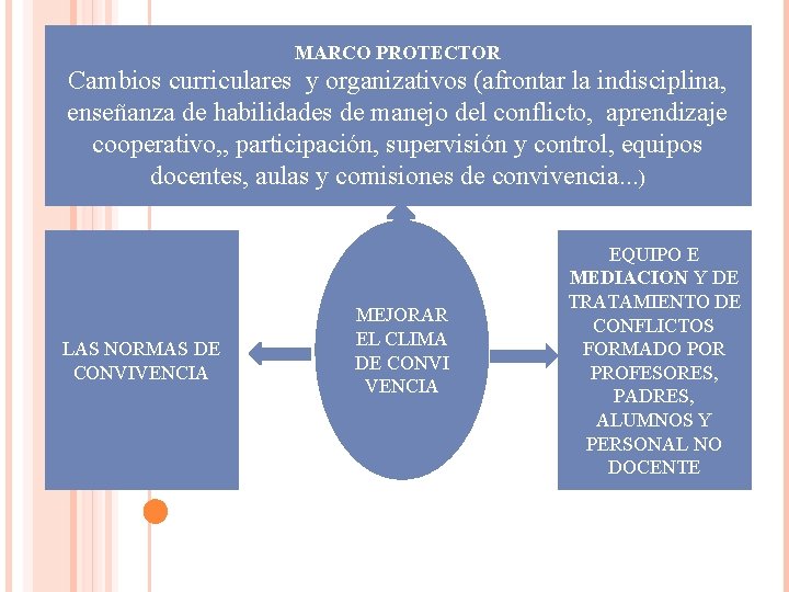MARCO PROTECTOR Cambios curriculares y organizativos (afrontar la indisciplina, enseñanza de habilidades de manejo