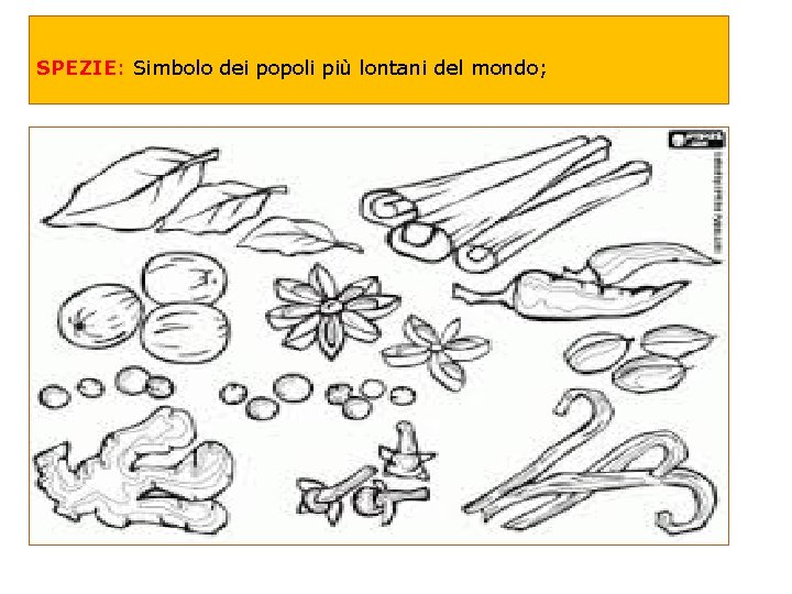 SPEZIE: Simbolo dei popoli più lontani del mondo; 