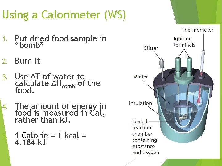 Using a Calorimeter (WS) 1. Put dried food sample in “bomb” 2. Burn it