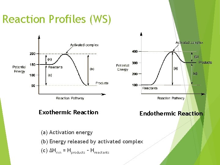 Reaction Profiles (WS) Exothermic Reaction Endothermic Reaction (a) Activation energy (b) Energy released by