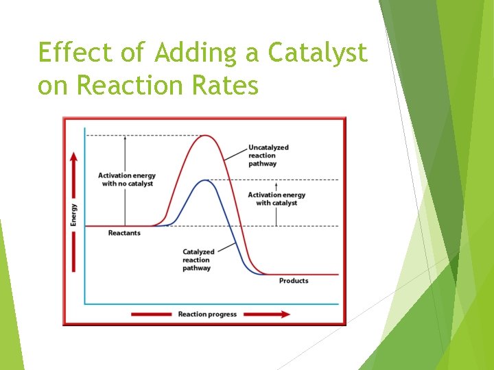 Effect of Adding a Catalyst on Reaction Rates 