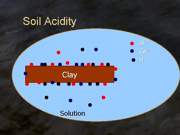 Soil Acidity Al 3+ Ca 2+ H+ Clay Solution 