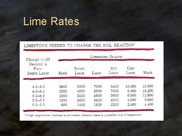 Lime Rates 