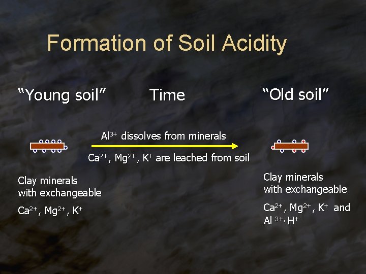 Formation of Soil Acidity “Young soil” Time “Old soil” Al 3+ dissolves from minerals