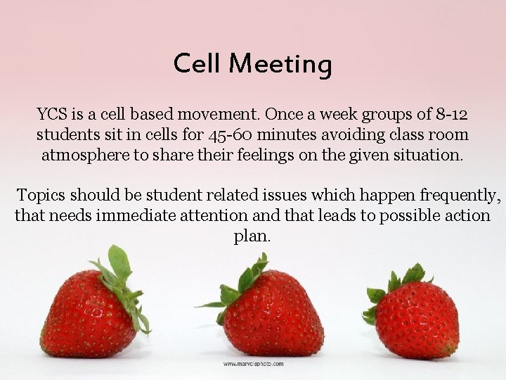 Cell Meeting YCS is a cell based movement. Once a week groups of 8