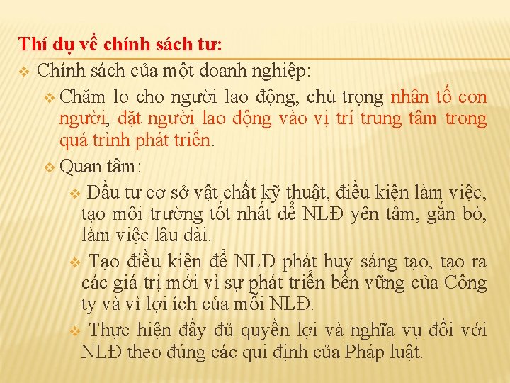 Thí dụ về chính sách tư: v Chính sách của một doanh nghiệp: v