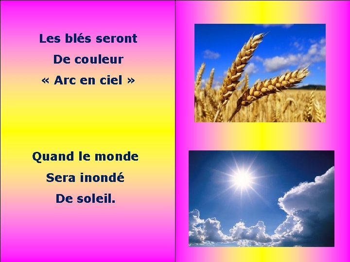 Les blés seront De couleur « Arc en ciel » Quand le monde Sera