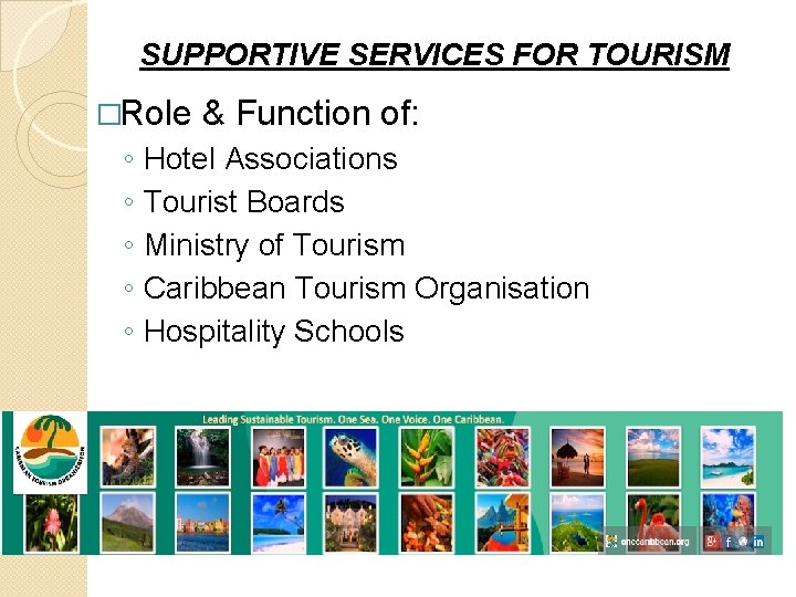 SUPPORTIVE SERVICES FOR TOURISM �Role ◦ ◦ ◦ & Function of: Hotel Associations Tourist