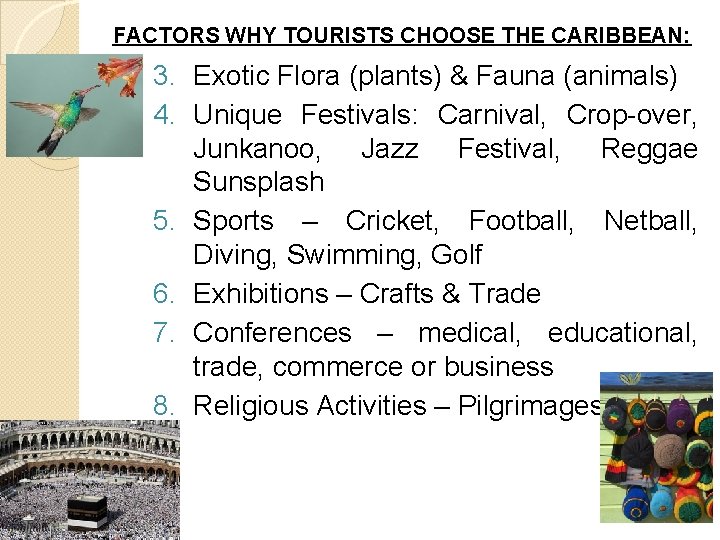 FACTORS WHY TOURISTS CHOOSE THE CARIBBEAN: 3. Exotic Flora (plants) & Fauna (animals) 4.