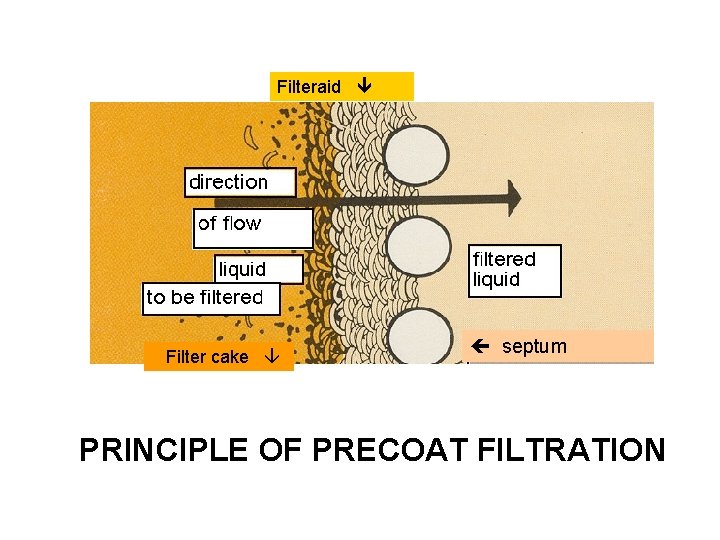 Filteraid Filter cake septum PRINCIPLE OF PRECOAT FILTRATION 