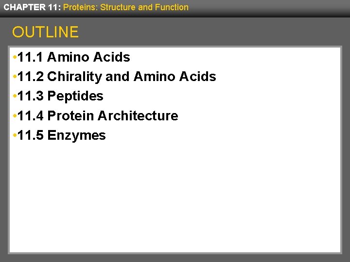 CHAPTER 11: Proteins: Structure and Function OUTLINE • 11. 1 Amino Acids • 11.