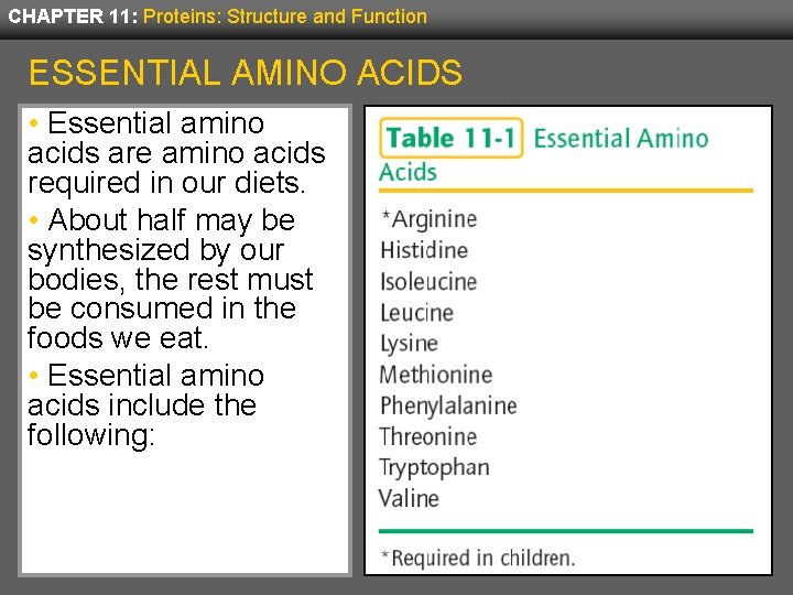 CHAPTER 11: Proteins: Structure and Function ESSENTIAL AMINO ACIDS • Essential amino acids are