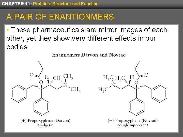 CHAPTER 11: Proteins: Structure and Function A PAIR OF ENANTIONMERS • These pharmaceuticals are