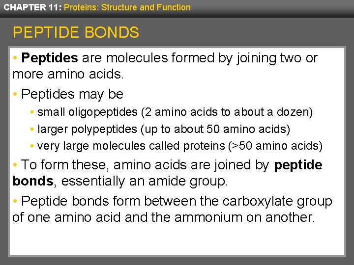CHAPTER 11: Proteins: Structure and Function PEPTIDE BONDS • Peptides are molecules formed by