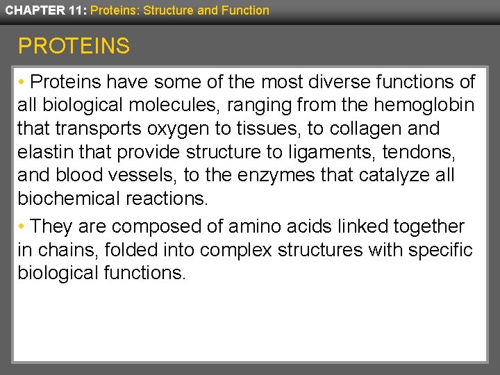 CHAPTER 11: Proteins: Structure and Function PROTEINS • Proteins have some of the most