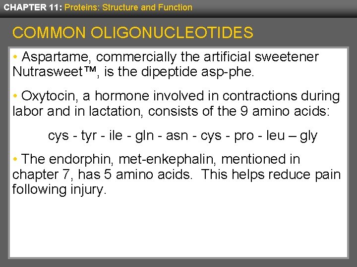 CHAPTER 11: Proteins: Structure and Function COMMON OLIGONUCLEOTIDES • Aspartame, commercially the artificial sweetener