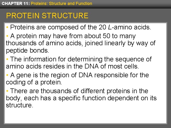 CHAPTER 11: Proteins: Structure and Function PROTEIN STRUCTURE • Proteins are composed of the