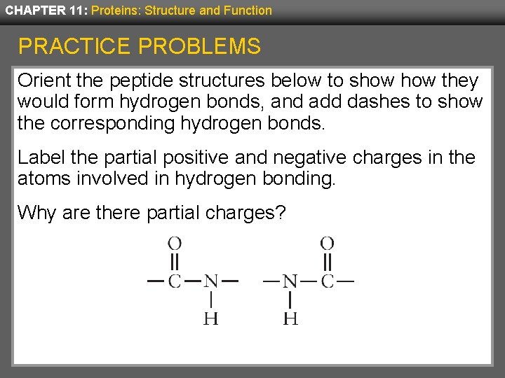 CHAPTER 11: Proteins: Structure and Function PRACTICE PROBLEMS Orient the peptide structures below to