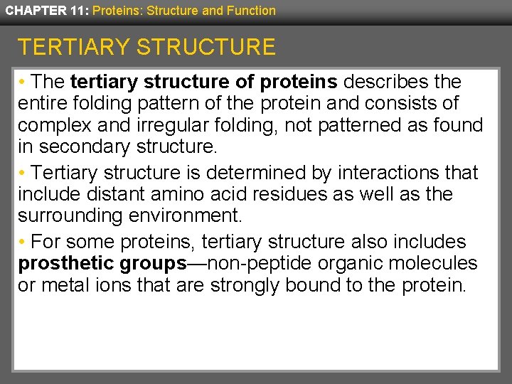 CHAPTER 11: Proteins: Structure and Function TERTIARY STRUCTURE • The tertiary structure of proteins