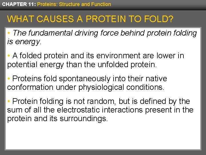 CHAPTER 11: Proteins: Structure and Function WHAT CAUSES A PROTEIN TO FOLD? • The