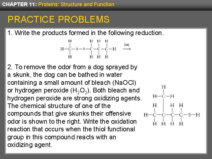 CHAPTER 11: Proteins: Structure and Function PRACTICE PROBLEMS 1. Write the products formed in