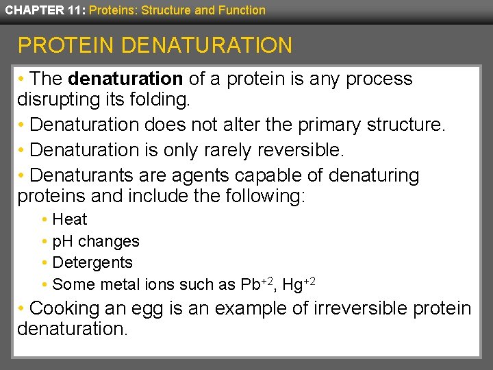 CHAPTER 11: Proteins: Structure and Function PROTEIN DENATURATION • The denaturation of a protein