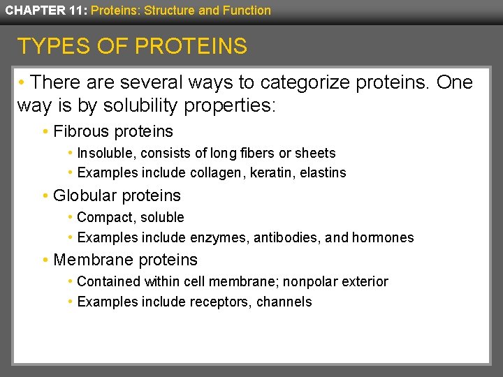 CHAPTER 11: Proteins: Structure and Function TYPES OF PROTEINS • There are several ways