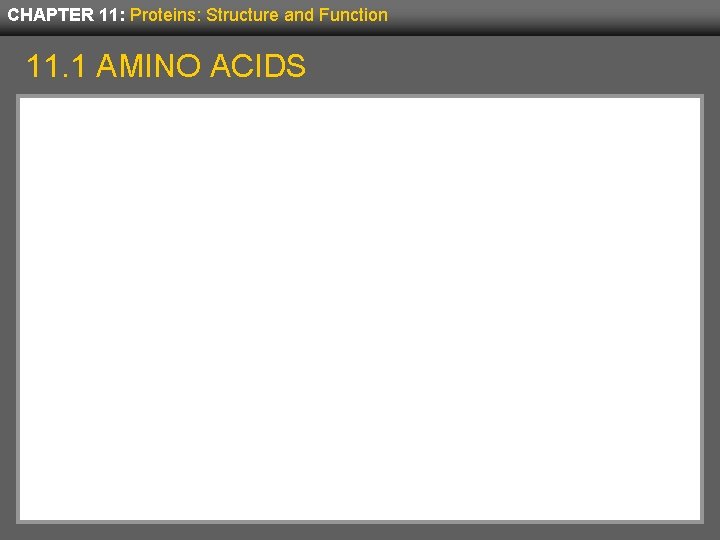 CHAPTER 11: Proteins: Structure and Function 11. 1 AMINO ACIDS 