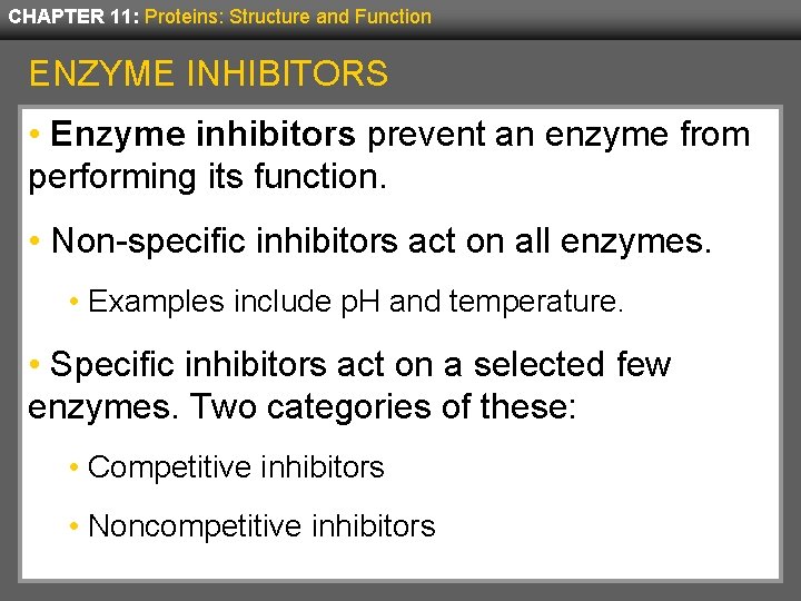 CHAPTER 11: Proteins: Structure and Function ENZYME INHIBITORS • Enzyme inhibitors prevent an enzyme