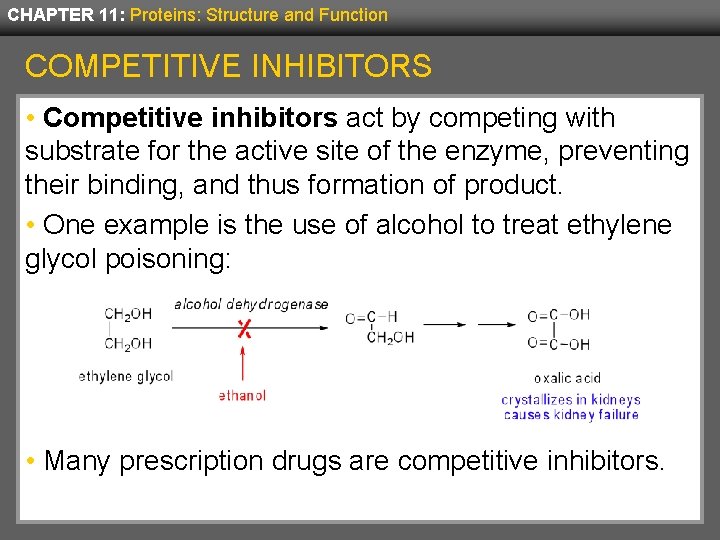 CHAPTER 11: Proteins: Structure and Function COMPETITIVE INHIBITORS • Competitive inhibitors act by competing