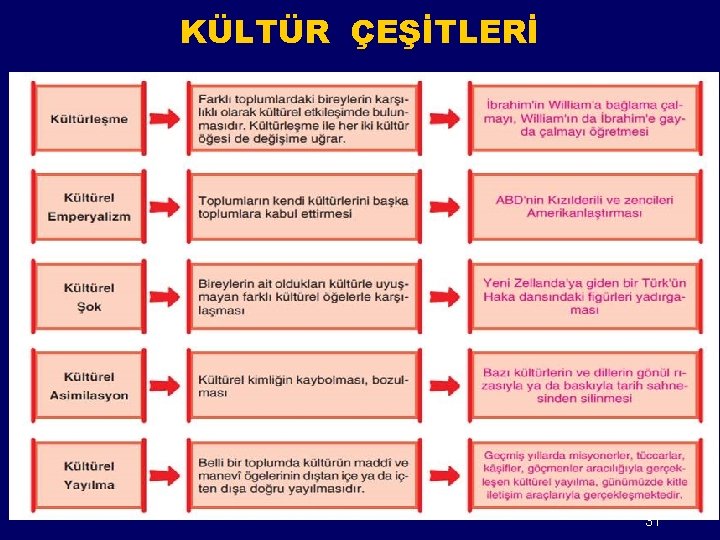 KÜLTÜR ÇEŞİTLERİ 31 