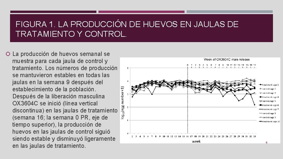 FIGURA 1. LA PRODUCCIÓN DE HUEVOS EN JAULAS DE TRATAMIENTO Y CONTROL. La producción
