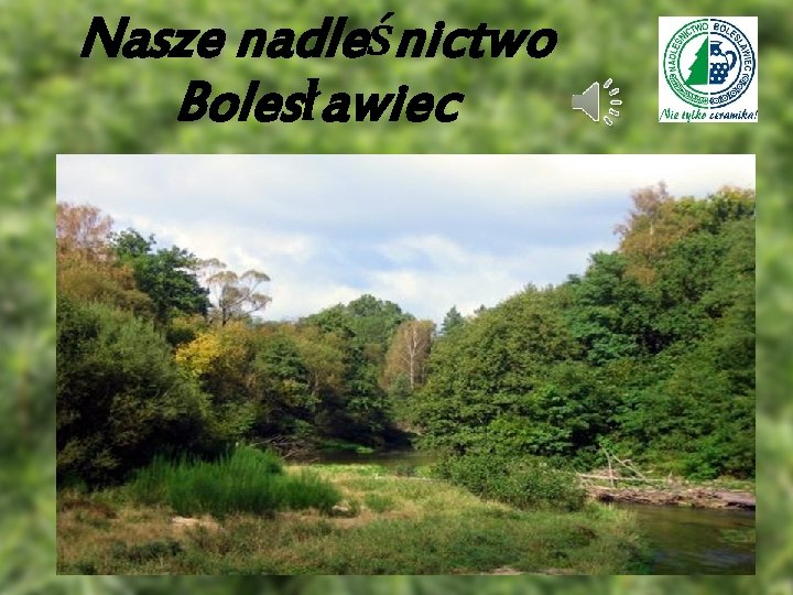 Nasze nadleśnictwo Bolesławiec 