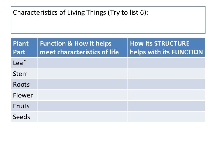Characteristics of Living Things (Try to list 6): Plant Part Leaf Stem Roots Flower