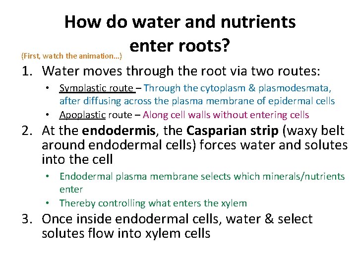 How do water and nutrients enter roots? (First, watch the animation…) 1. Water moves