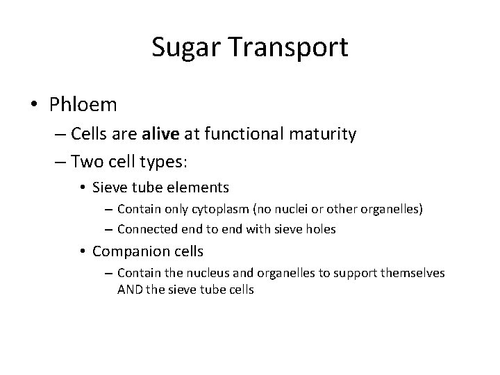 Sugar Transport • Phloem – Cells are alive at functional maturity – Two cell