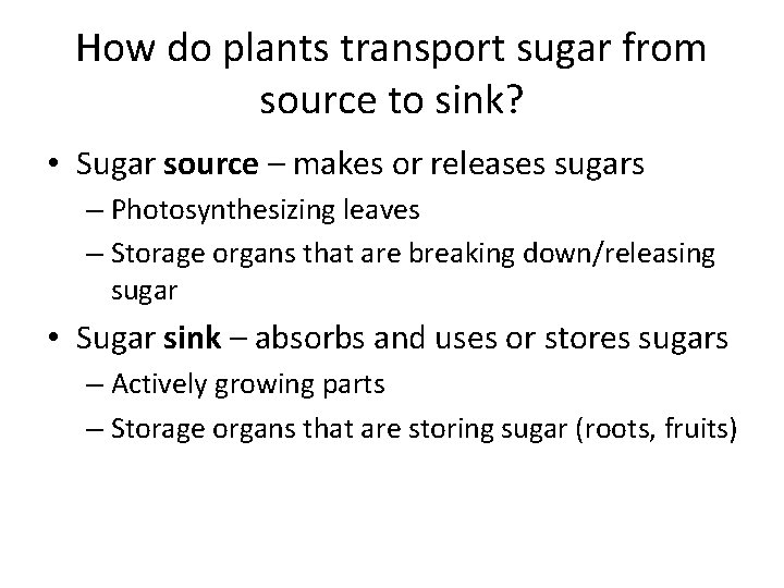 How do plants transport sugar from source to sink? • Sugar source – makes