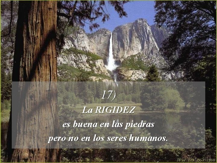 17) La RIGIDEZ es buena en las piedras pero no en los seres humanos.