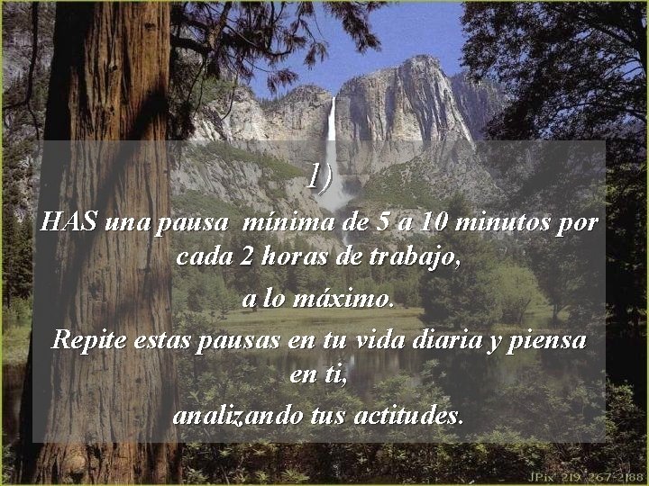 1) HAS una pausa mínima de 5 a 10 minutos por cada 2 horas