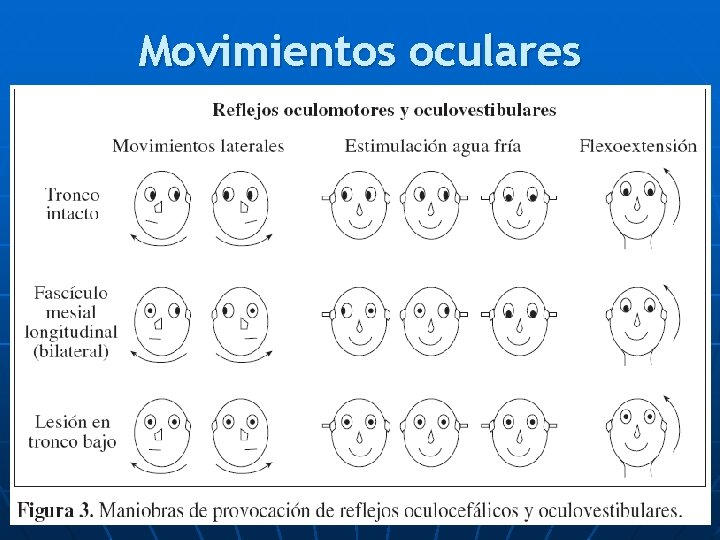 Movimientos oculares 