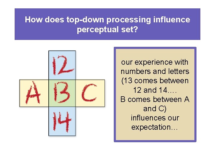 How does top-down processing influence perceptual set? our experience with numbers and letters (13