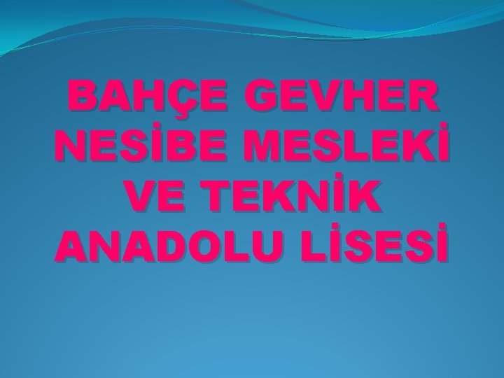 BAHÇE GEVHER NESİBE MESLEKİ VE TEKNİK ANADOLU LİSESİ 