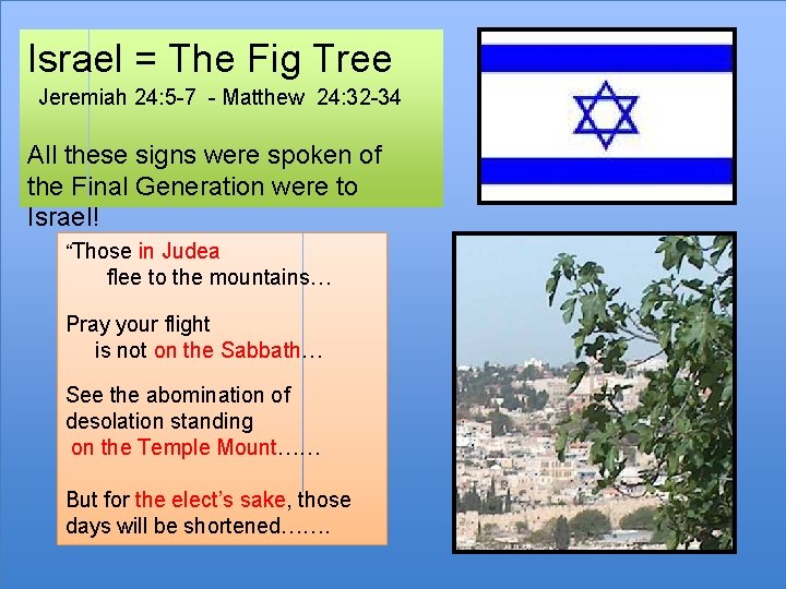 Israel = The Fig Tree Jeremiah 24: 5 -7 - Matthew 24: 32 -34