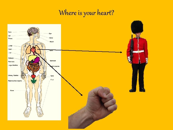 Where is your heart? Where is your heart?