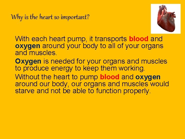 Why is the heart so important? With each heart pump, it transports blood and Why is the heart so important? With each heart pump, it transports blood and