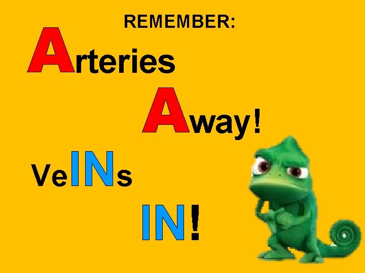 REMEMBER: rteries way! Ve INs IN! REMEMBER: rteries way! Ve INs IN!