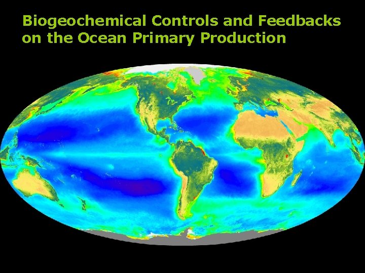 Biogeochemical Controls and Feedbacks on the Ocean Primary Production 