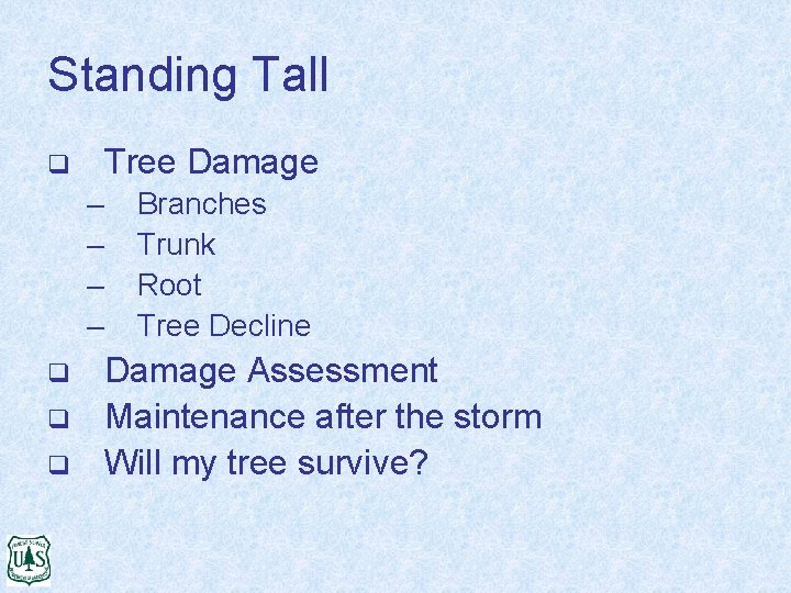 Standing Tall Tree Damage q – – q q q Branches Trunk Root Tree