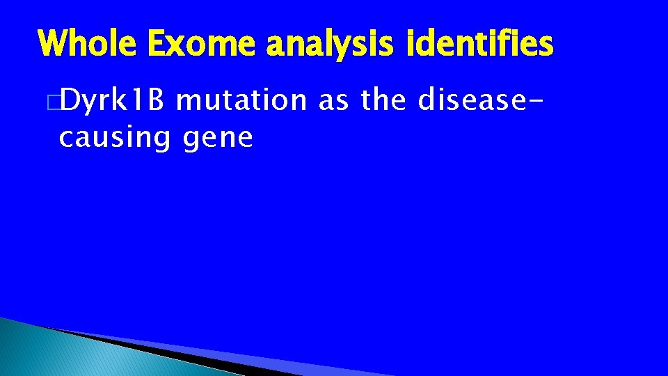 Whole Exome analysis identifies �Dyrk 1 B mutation as the diseasecausing gene 