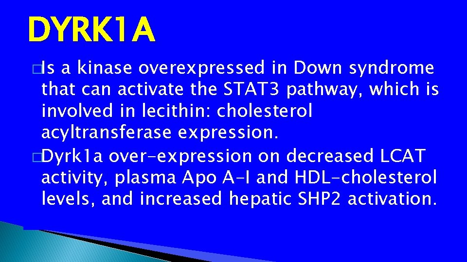 DYRK 1 A �Is a kinase overexpressed in Down syndrome that can activate the